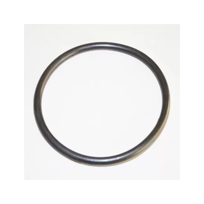 O-RING 0931345  PMS001-474